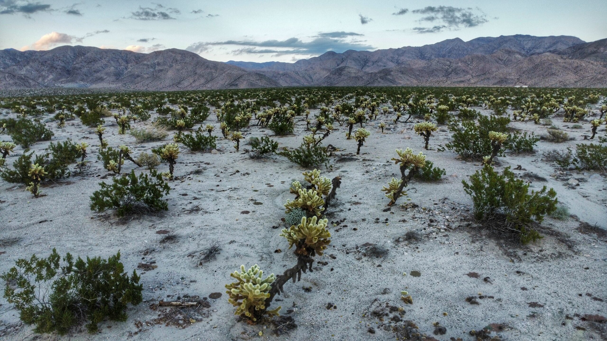 dji_fly_20231130_162126_225_1701390186909_photo_optimized-01