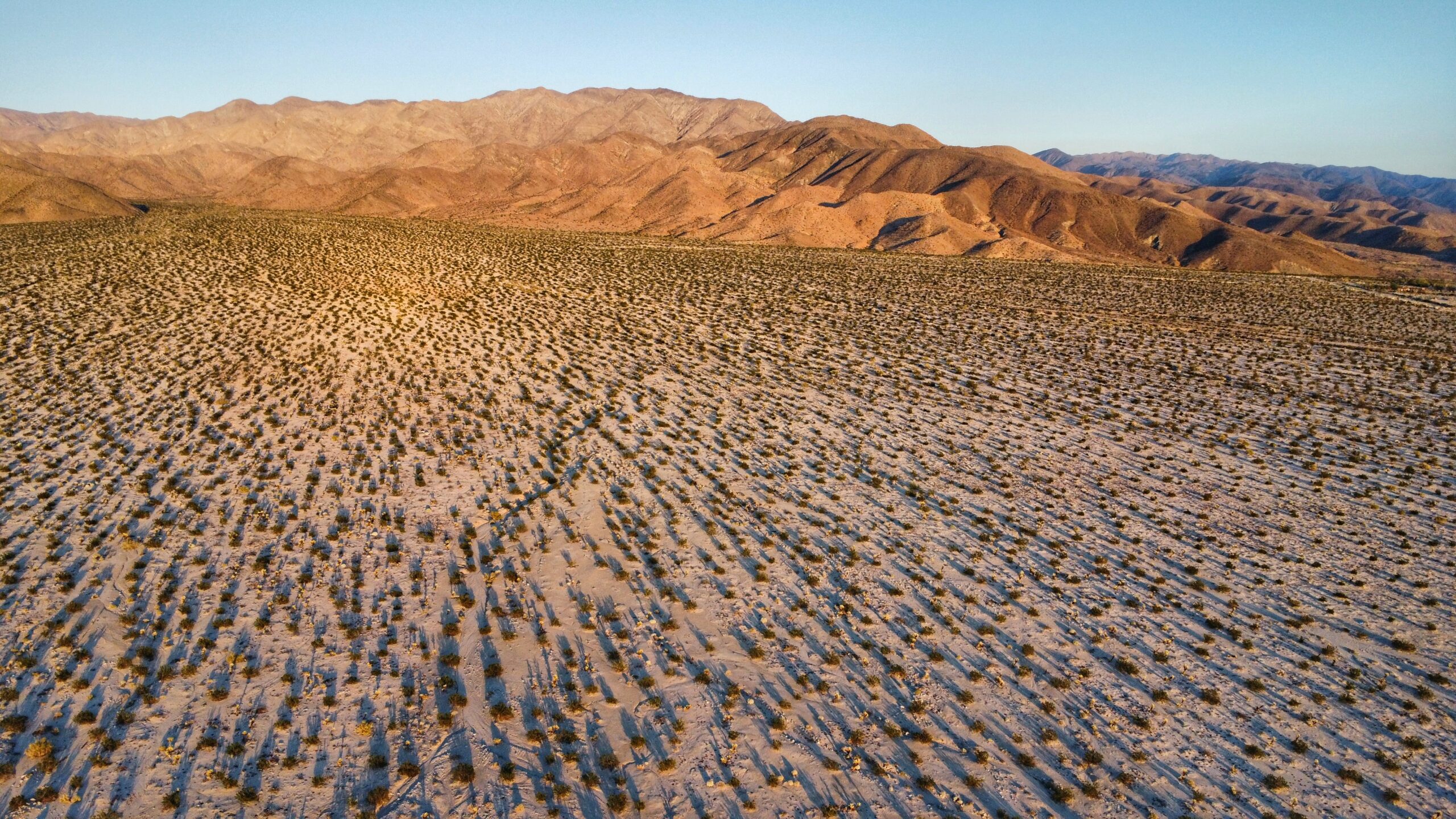 dji_fly_20231201_160932_233_1701476541987_photo_optimized-01