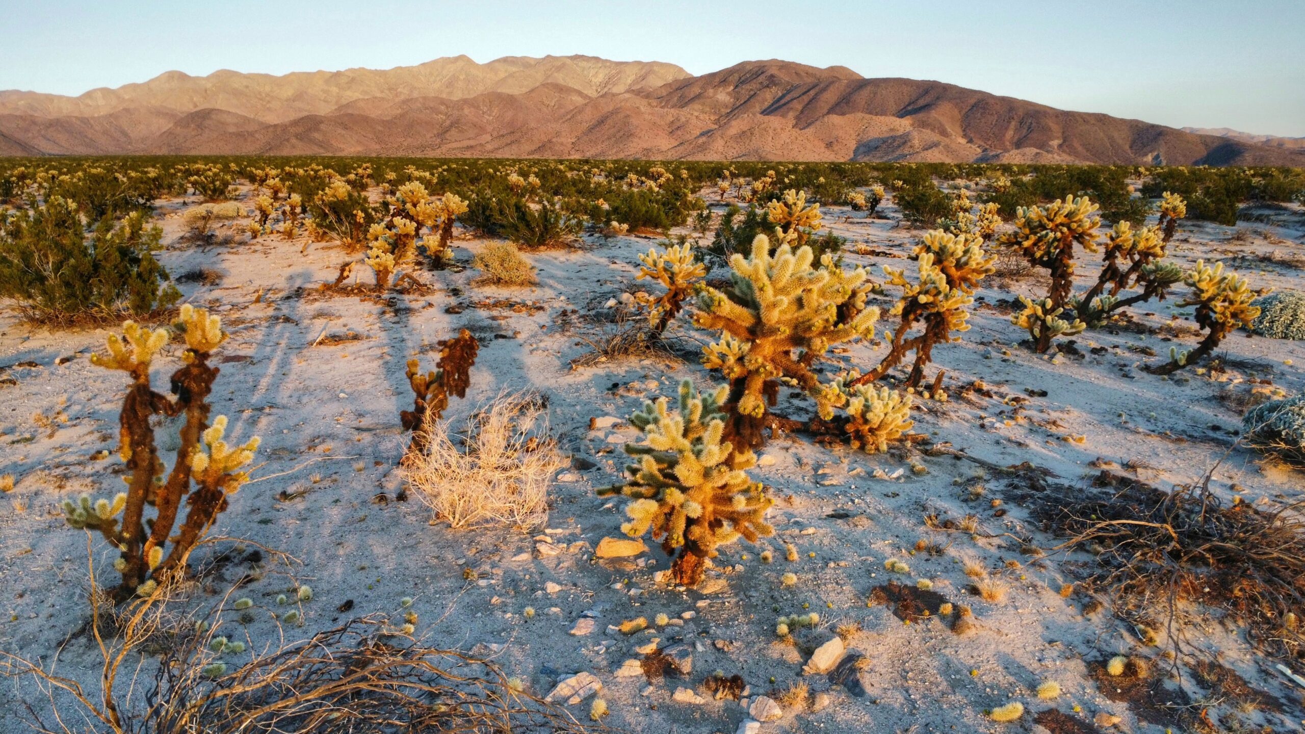 dji_fly_20231201_161458_242_1701476589812_photo_optimized-01-01