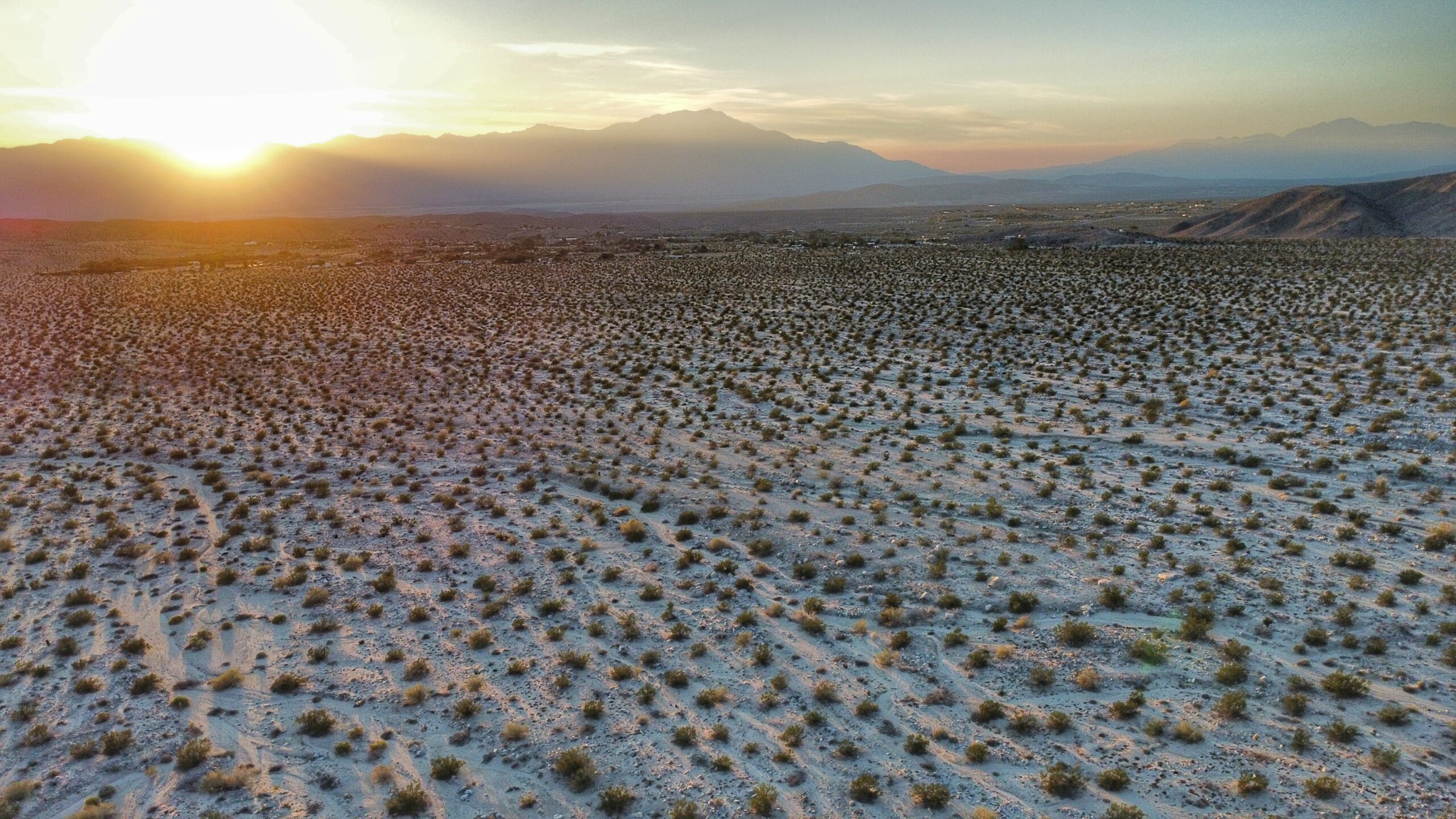 dji_fly_20231201_161900_251_1701476666139_photo_optimized-01