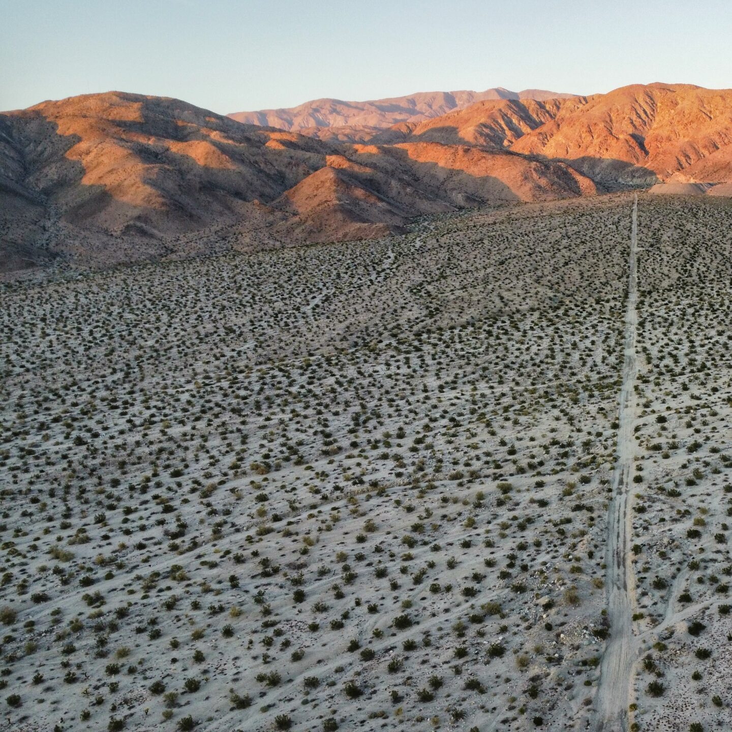 dji_fly_20231201_162256_254_1701476674658_photo_optimized-01