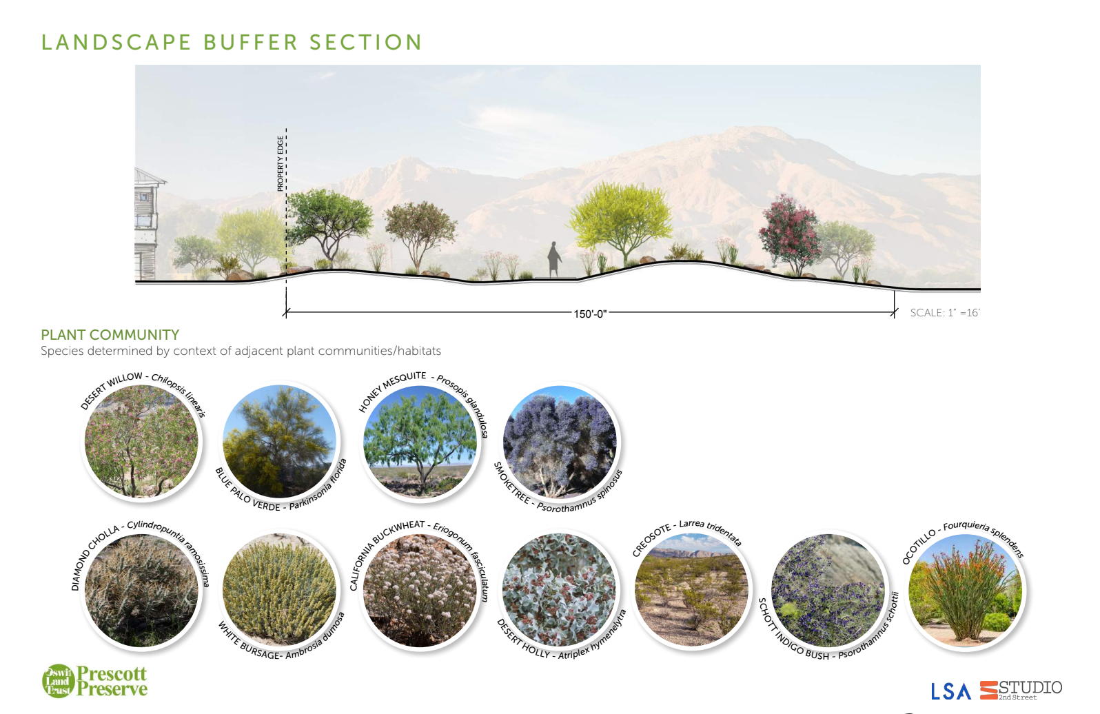 Prescott Preserve - Plant list